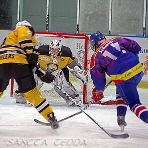 GEC Ritter Nordhorn - Celle Oilers  Artikel