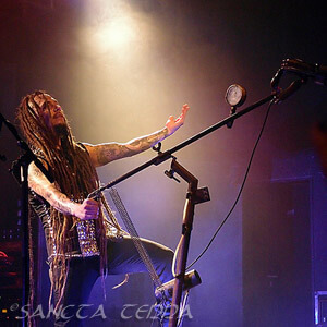 Amorphis Artikel