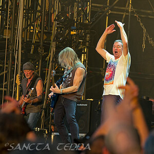 Deep Purple Artikel