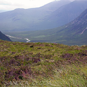 Schottland Artikel